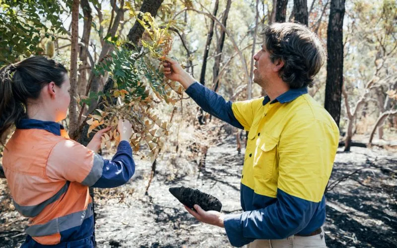 Ahc21024 Certificate Ii In Conservation And Ecosystem Management