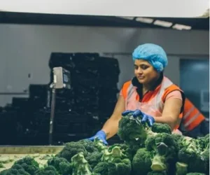 Agricareer Workplace Pathways Awp