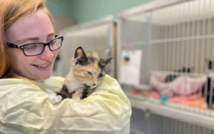 Animals Featured Image