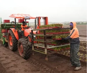 Bespoke Farm Inductions