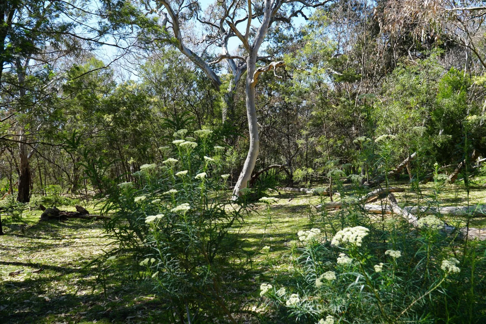 Ecosystem Management