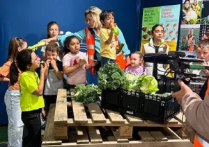 Primary School Program