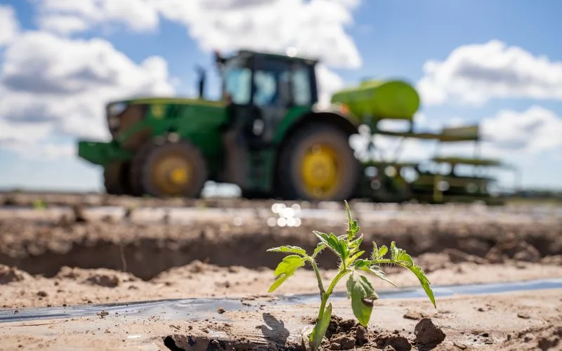 Production Horticulture