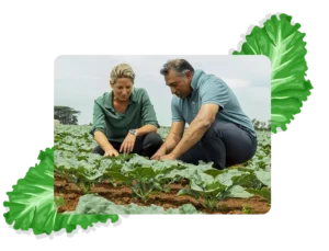 Recognised Qualifications