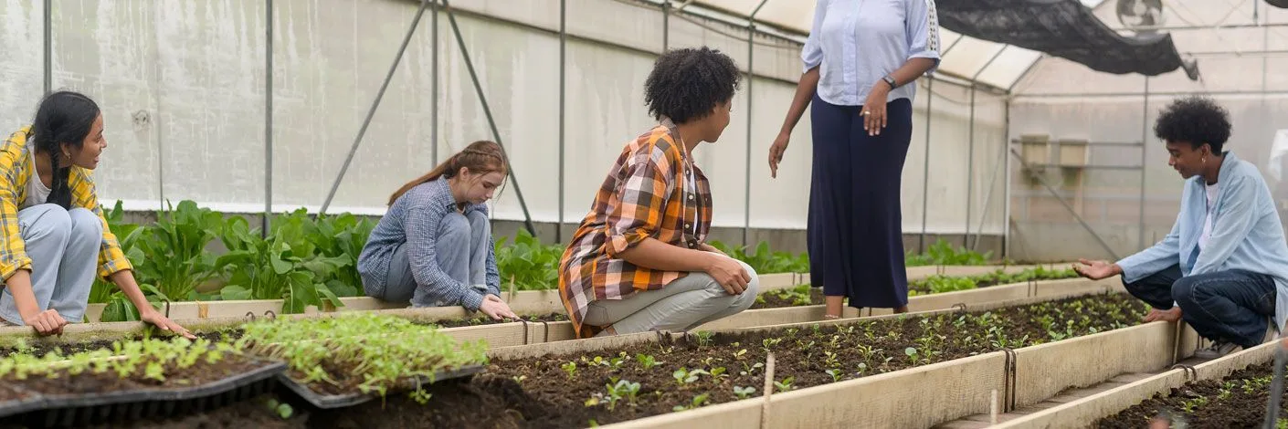 Secondary School Program